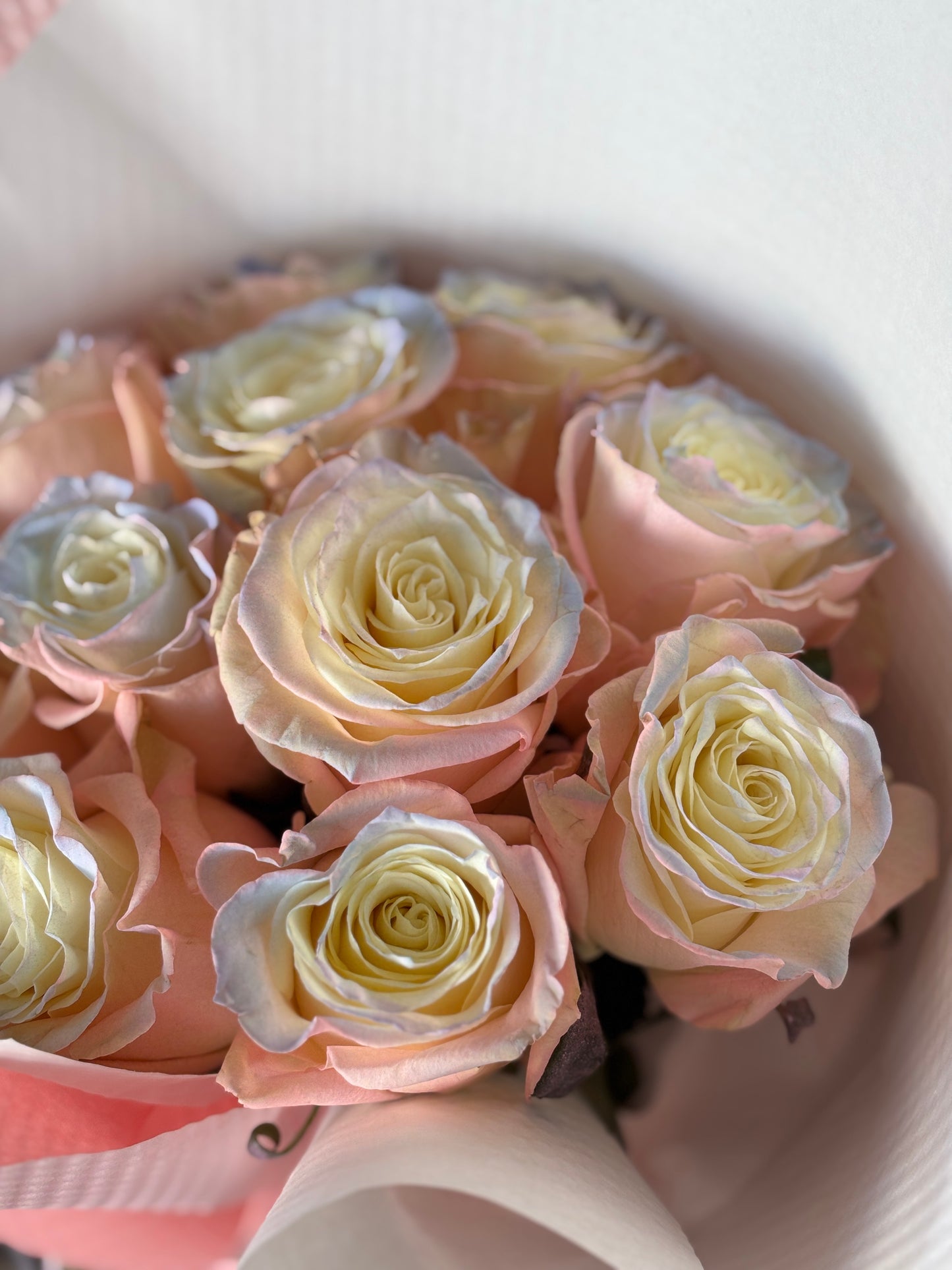 Aurora Pink Rose Bouquet