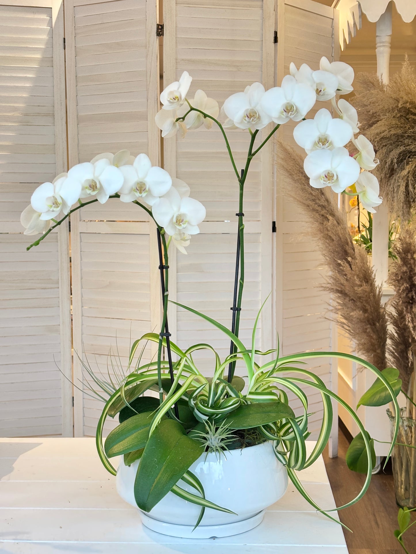 Orchid Arrangement-2 Stems white