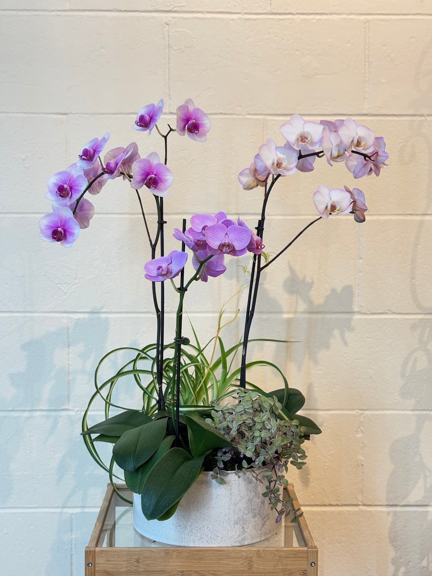 Orchid Arrangement-3 Stems purple