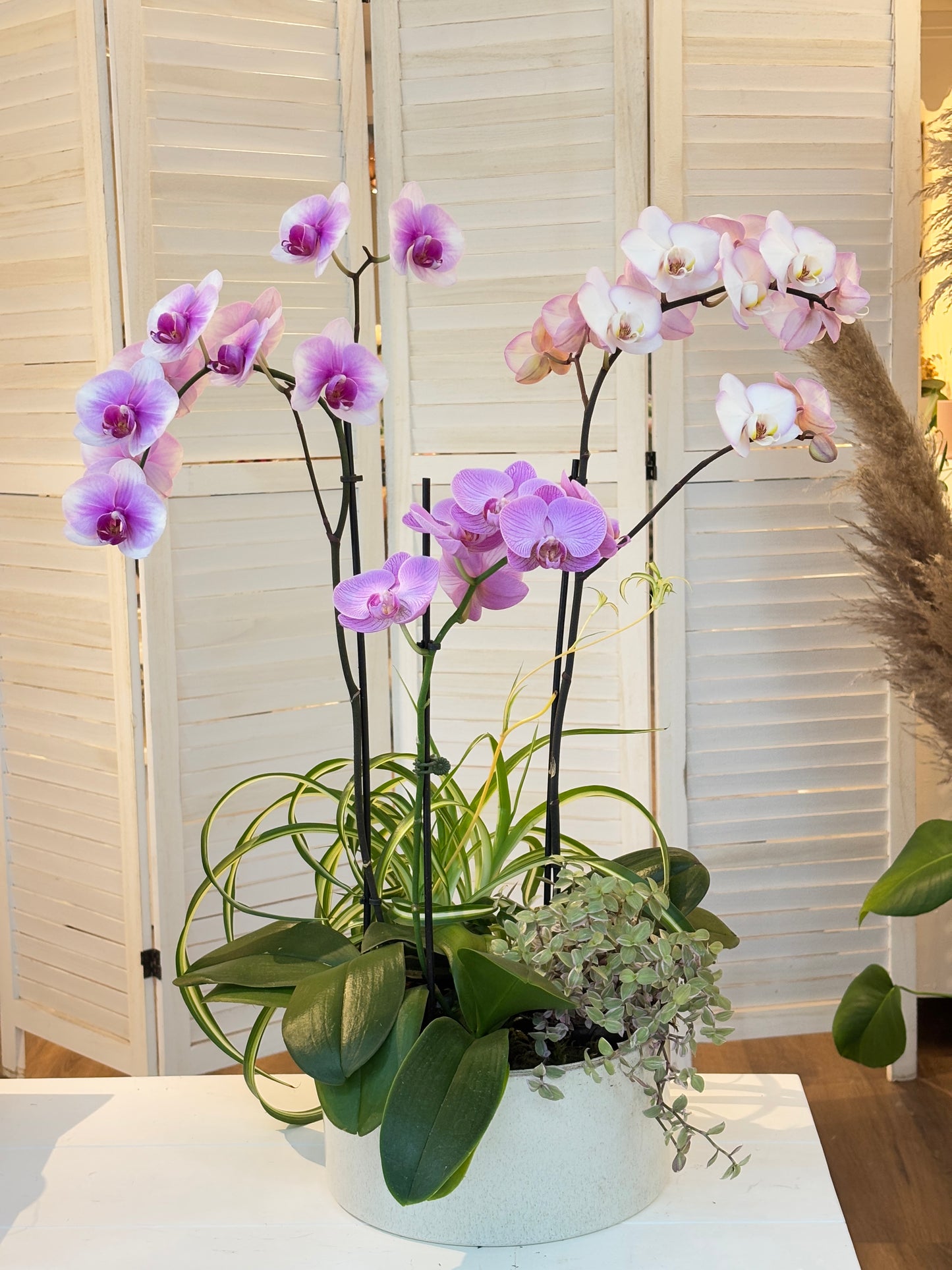 Orchid Arrangement-3 Stems purple