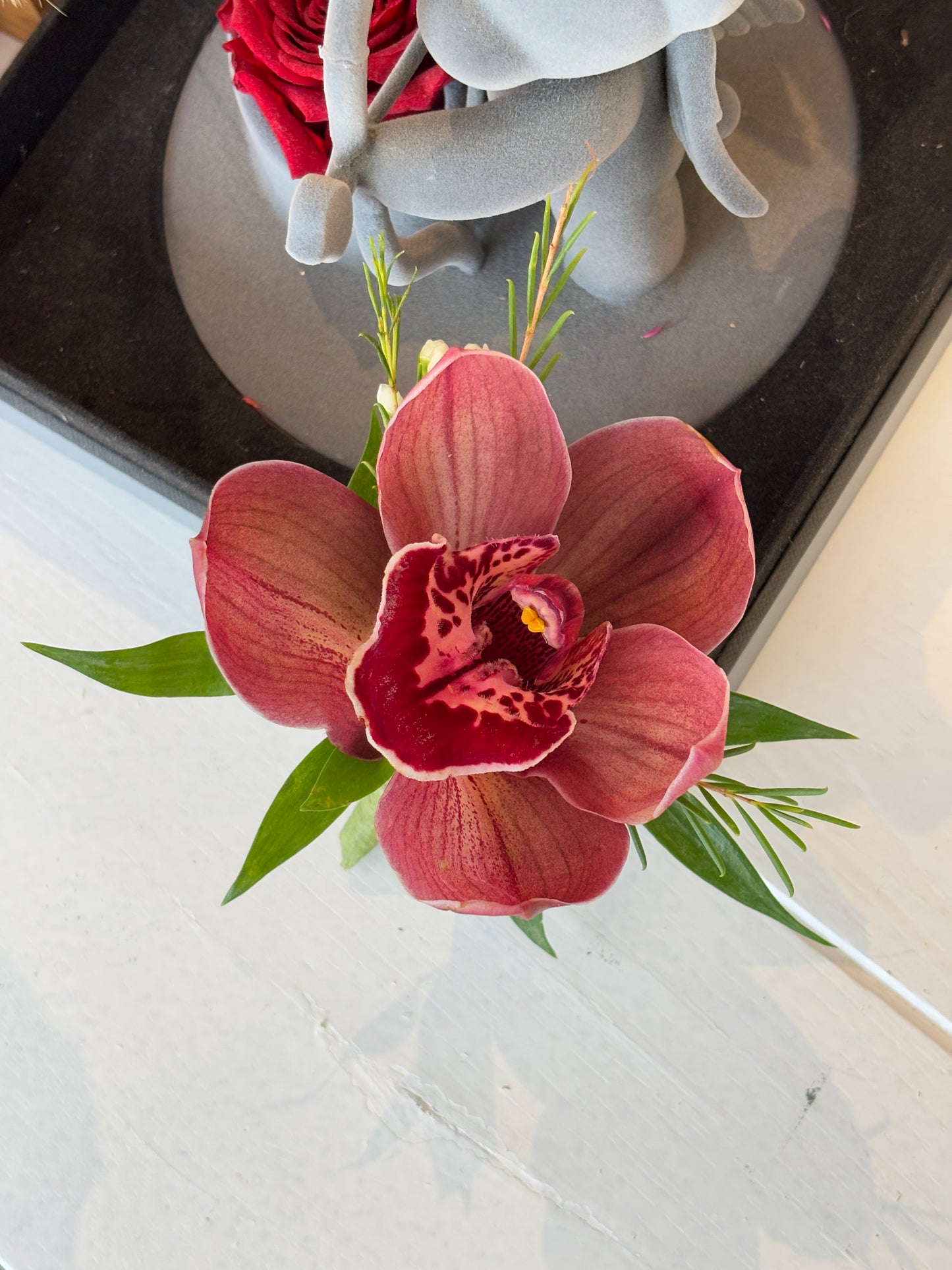 Fresh Flower Boutonnières- Red Brown Cymbidium Orchid