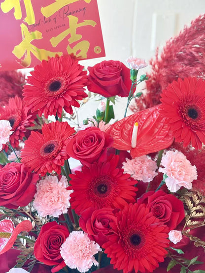 Grand Opening Standing in Red with Orchid (Large)